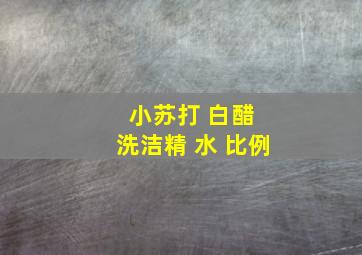 小苏打 白醋 洗洁精 水 比例